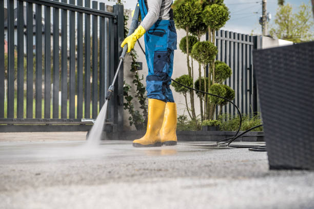 Best Pressure Washing Services Near Me  in St Paul, VA